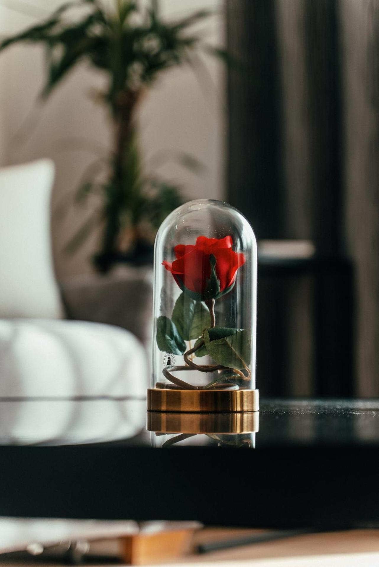 Biarritz Luxury Apartments Beograd Eksteriør bilde